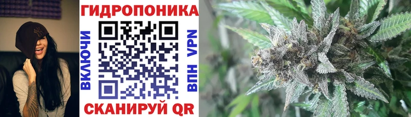Магазины продажи наркотиков Козьмодемьянск А ПВП Кокаин МЕФ Конопля ГАШИШ