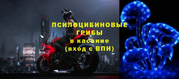 экстази Богородицк
